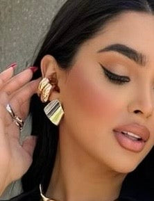 Vany Silver Earrings