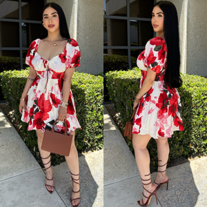 Dina Skater Dress