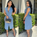 Nicolett Denim Dress