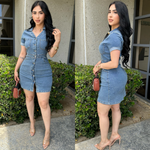 Luca Denim Dress