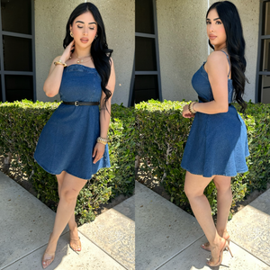 Vizentina Denim Dress