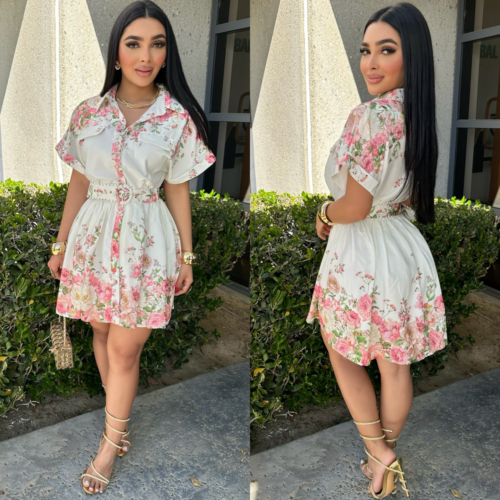 Ezra Skater Dress