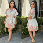 Ezra Skater Dress