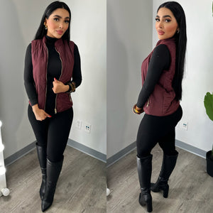 Faux Fur Burgundy Vest