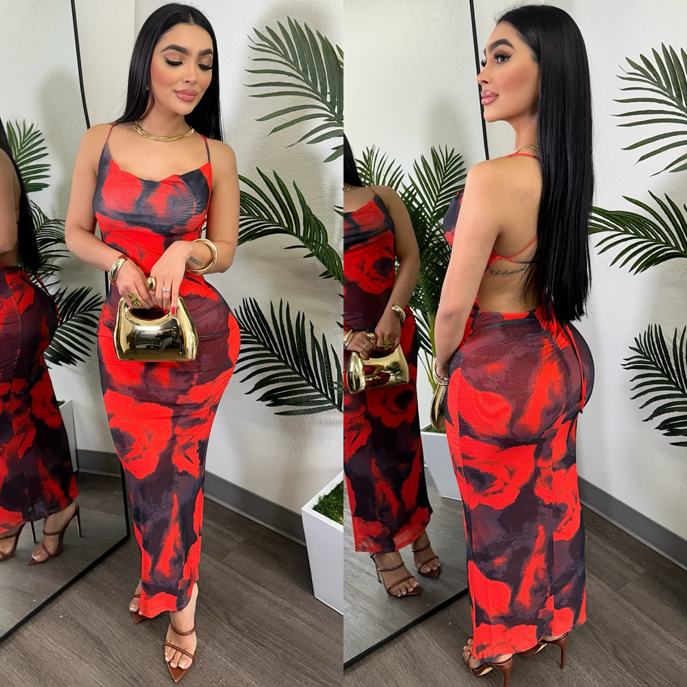 Xima Floral Mesh Dress