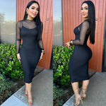 Yaritza Mesh Dress