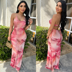 Zanni Mesh Dress