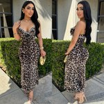 Roxanna Mesh Dress
