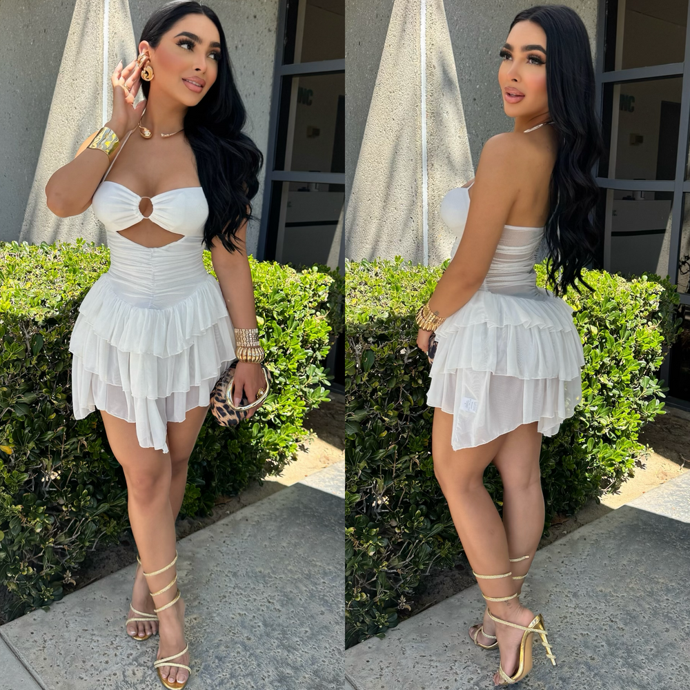 Zaria Mini Mesh  Dress