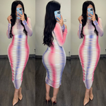Vilmy Mesh Dress